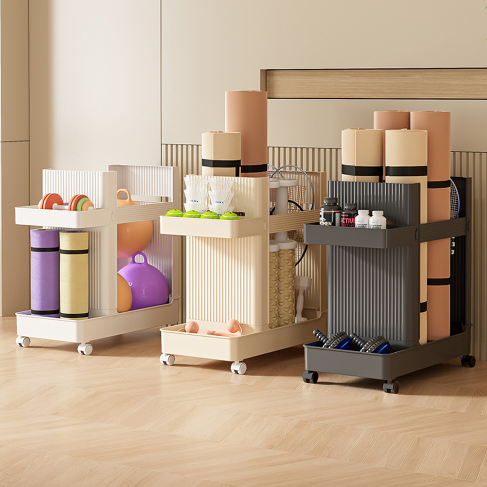 Gym Equipment Holder with Whee - đánh giá và giá Sports Equipment Organizer Rack